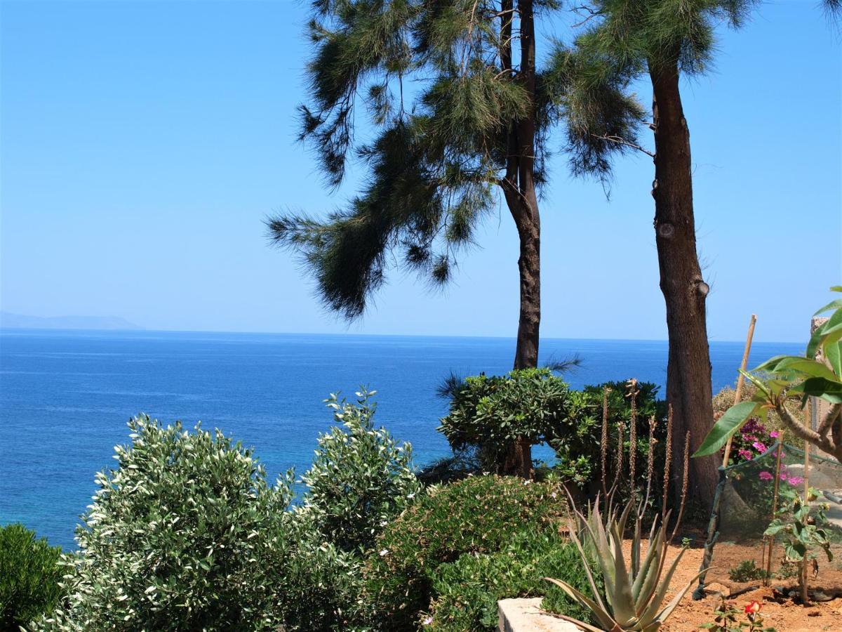 Emerald Apartment Halepa Chania  Exterior foto